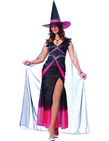 View Item Adult Ladies UK 12-14 Fabulous Witch Pink Halloween Fancy Dress Witches Costume